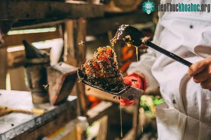 Bên cạnh vị ngọt, mật ong Elvish còn có vị đắng nhẹ vô cùng đặc trưng