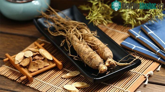 Nhân sâm có nhiều công dụng tốt đối với sức khỏe.