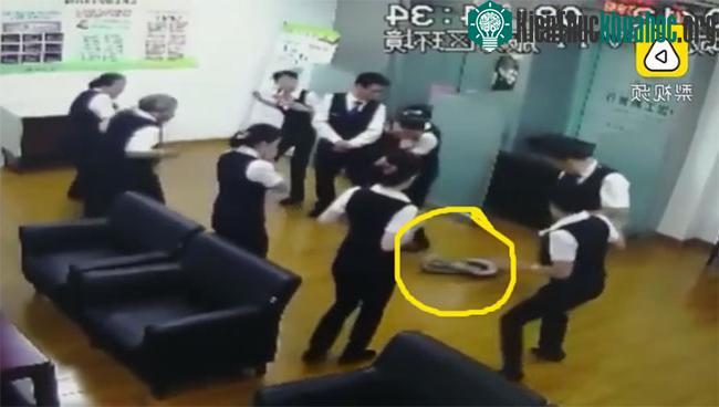 Một con trăn dài 2 mét chẳng hiểu ở đâu ra bất ngờ rơi xuống.