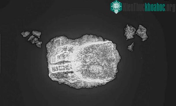 Bản scan bàn tay giả có bốn ngón tay kim loại.