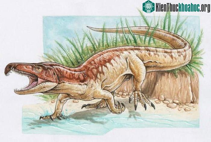 "Quái vật Tây Bengal" trong ảnh đồ họ
