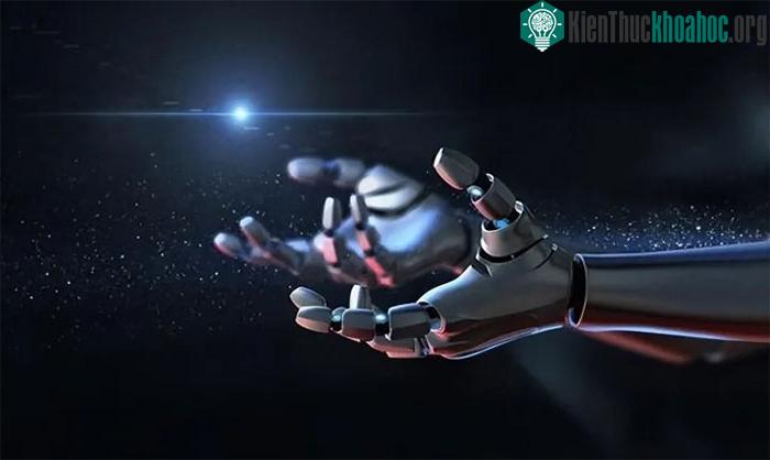 Khám phá mới tiết lộ khả năng đáng kinh ngạc của "robot sống" ảnh 0