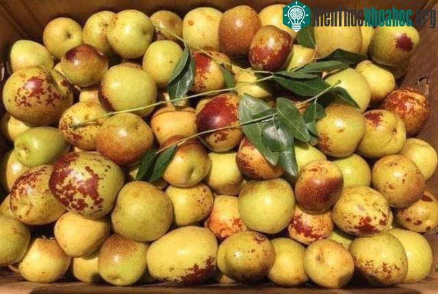 &nbsp;Chiết xuất từ hồng táo có hiệu quả trong việc ức chế sự phát triển của tế bào ung thư vú.