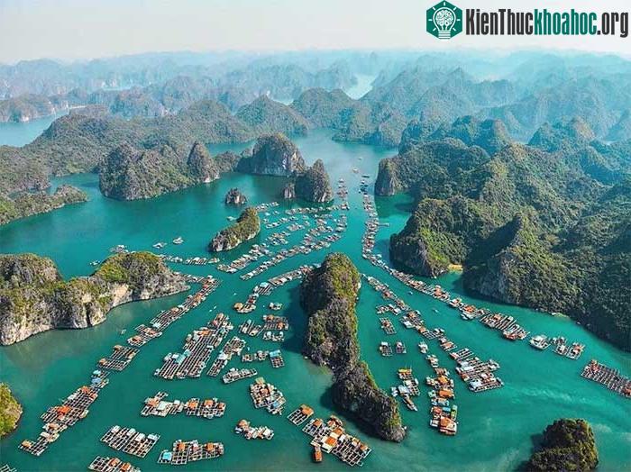 Vịnh Hạ Long.