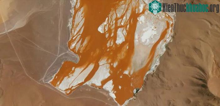Hồ Laguna Colorada, hay còn gọi là Red Lagoon, ở dãy Andes Bolivia chụp vào ngày 7-9-2023