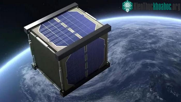 Vệ tinh gỗ mộc lan LignoSat