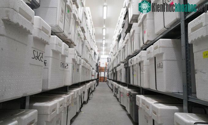 Các hộp cách nhiệt chứa mẫu lõi băng xếp trên kệ trong kho lưu trữ ở Copenhagen