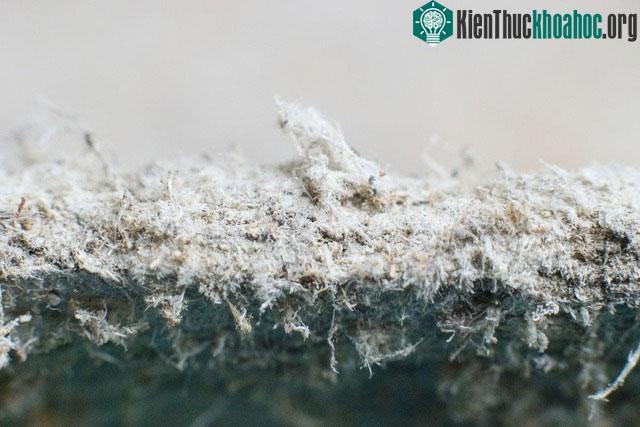 Amiăng là silicat kép của Canxi (Ca) và Magie (Mg), chứa SiO2 có trong tự nhiên.