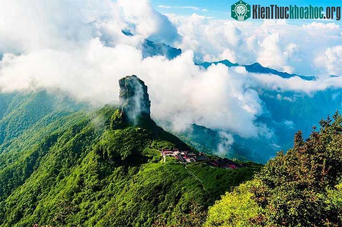 Trên dãy núi Hoàng Liên Sơn, có một loài cá vô cùng đặc biệt được gọi là cá đắng.