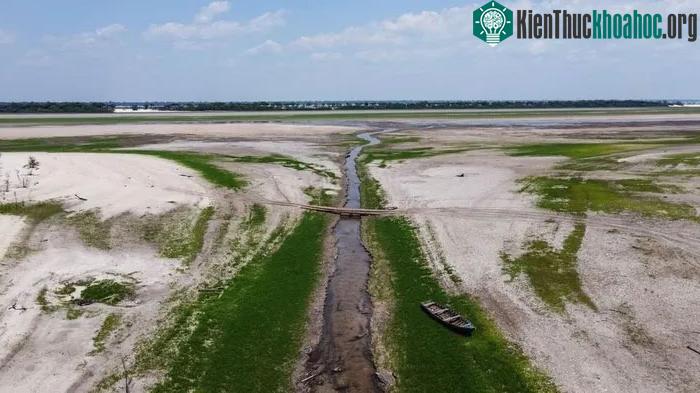 Sông Rio Negro - một nhánh của sông Amazon - cạn trơ đáy do hạn hán.