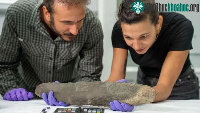 Phát hiện báu vật 200.000 năm của “người khổng lồ khác loài” ảnh 0
