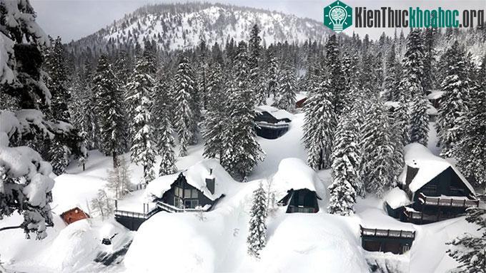 &nbsp;Tuyết tại vùng núi Sierra Nevada, bang California (Mỹ).