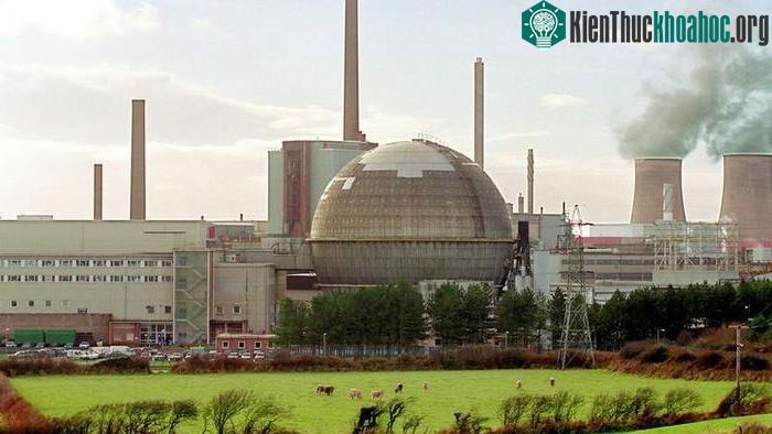 Đàn bò gặm cỏ ngay sát cơ sở tái chế hạt nhân Sellafield tại Cumbria, Anh.