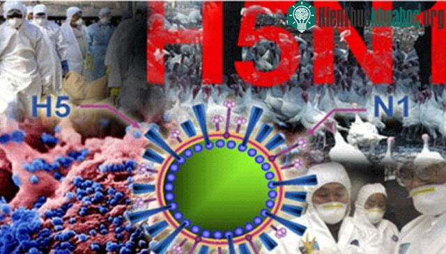 Khi mắc cúm cúm A (H5N1), bệnh nhân thường có cảm giác đau đầu, đau mỏi người...