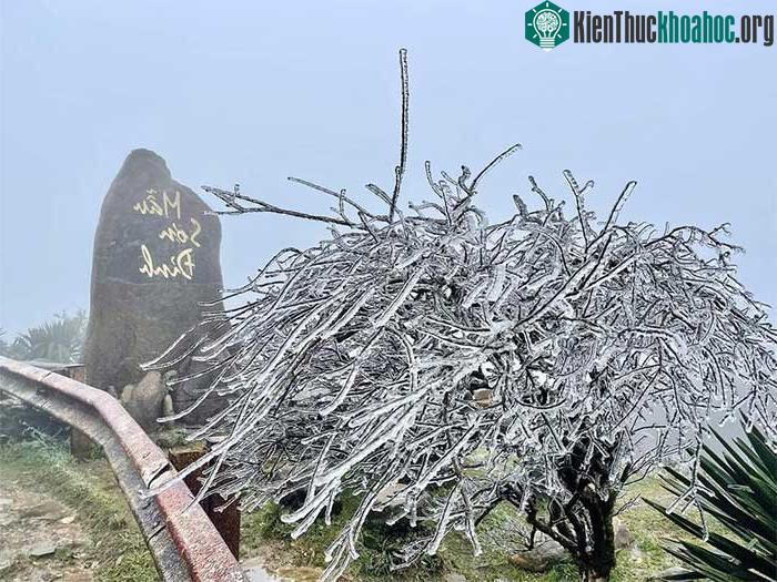 Đỉnh Mẫu Sơn - Lạng Sơn là địa điểm đang giữ kỷ lục nơi lạnh nhất Việt Nam.