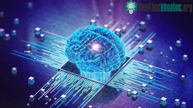 Mô hình 3D nhỏ của bộ não.