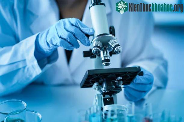 Phương pháp mới giúp sản xuất các chất bán dẫn lai sinh học với chi phí thấp.