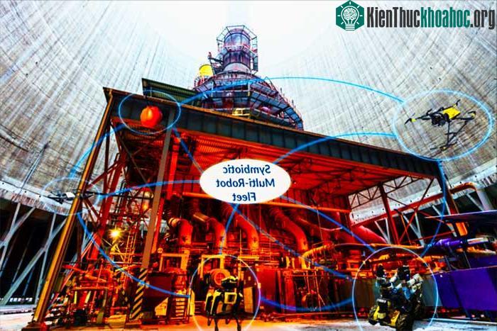 Hạm đội đa robot cộng sinh