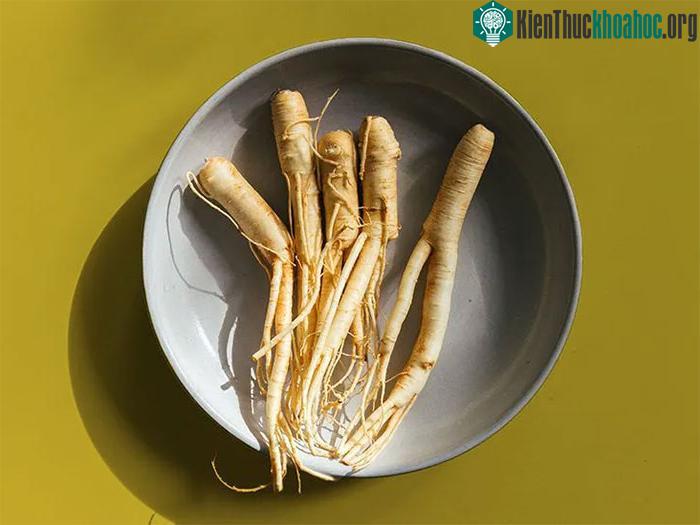 Hợp chất trong nhân sâm giúp bảo vệ chống lại stress oxy hóa trong mạch máu