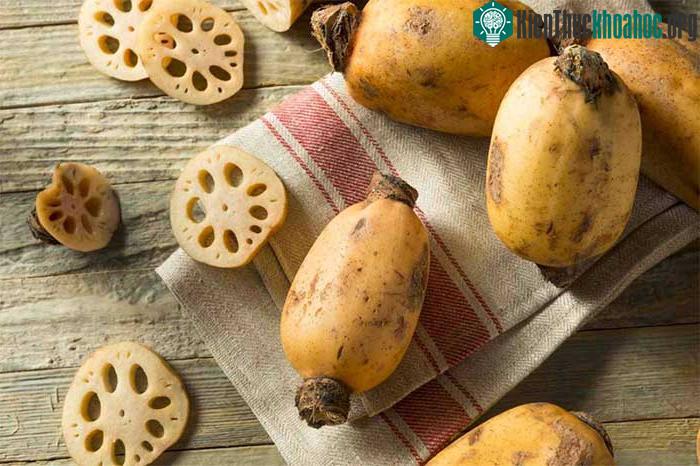 ‏Vitamin nhóm B có khá nhiều trong củ sen.