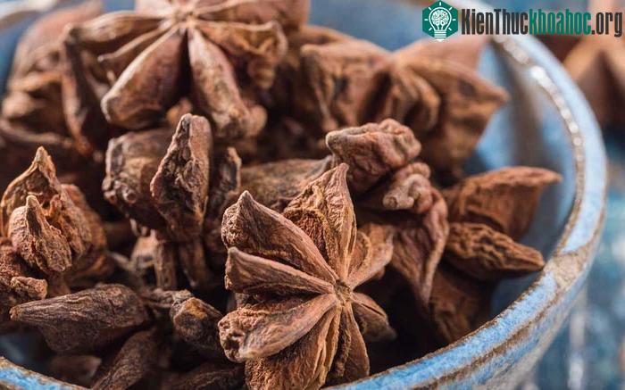 Hoa hồi cũng có thể gây ra một số tác dụng phụ.&nbsp;
