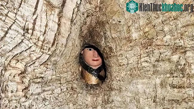 Làm sao một bức tượng Phật có thể nhét vừa hốc cây nhỏ như vậy?