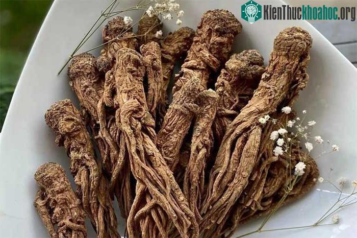 Tại sao đương quy được gọi là "nhân sâm nữ"? ảnh 1
