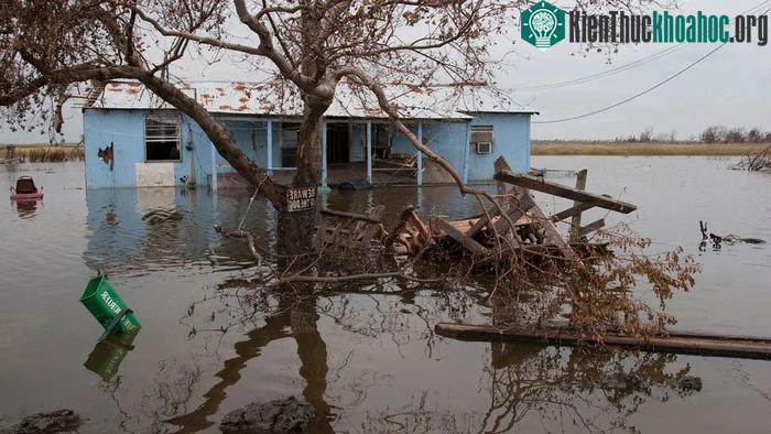 Đảo Isle de Jean Charles, ở Terrebonne, bang Louisiana (Mỹ), đang dần "biến mất".