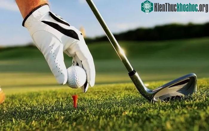 Môn golf ngày càng phổ biến.