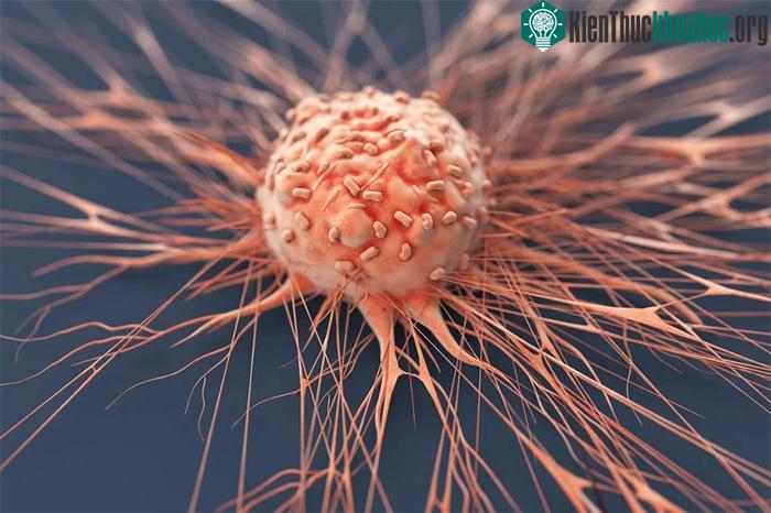 Formaldehyde có liên quan đến một số loại ung thư.