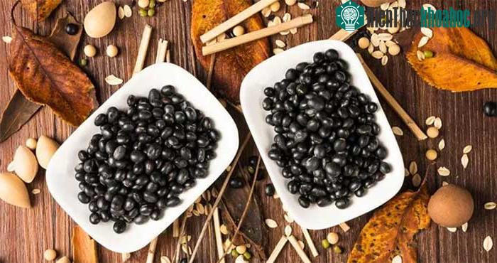 Đậu đen không chỉ giúp bạn cải thiện sức khỏe mà còn hỗ trợ làm đẹp làn da, vóc dáng.