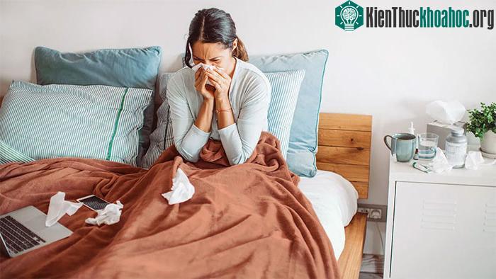Có tới hơn 100 loại vi trùng gây cảm lạnh thông thường