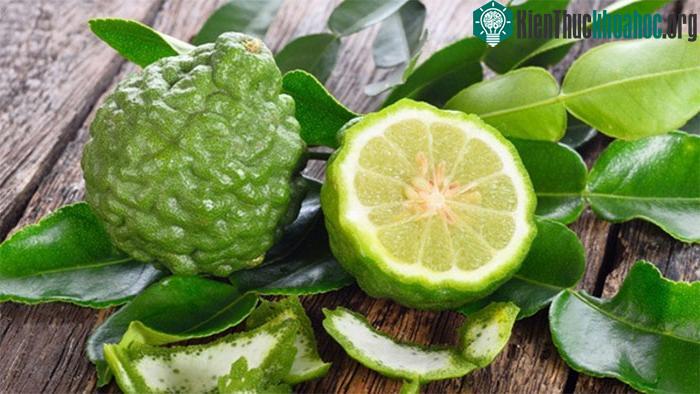 Quả chúc có tác dụng làm giảm căng thẳng, lo âu