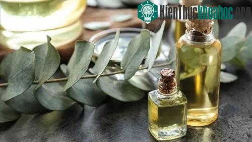 Dầu khuynh diệp từ lâu đã được thêm vào thành phần của thuốc chống côn trùng.