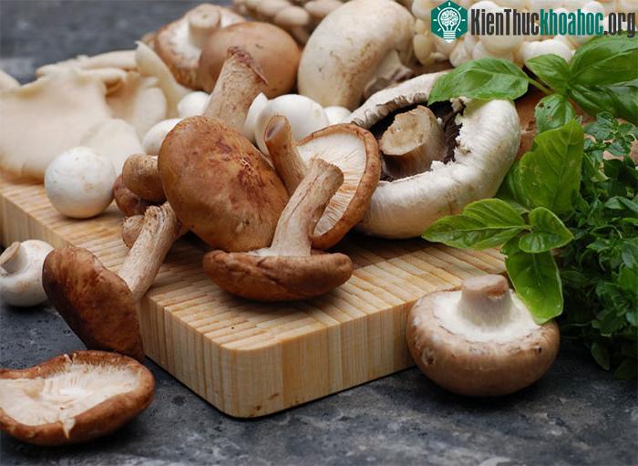 Nấm hương là một loại nấm rất giàu chất dinh dưỡng