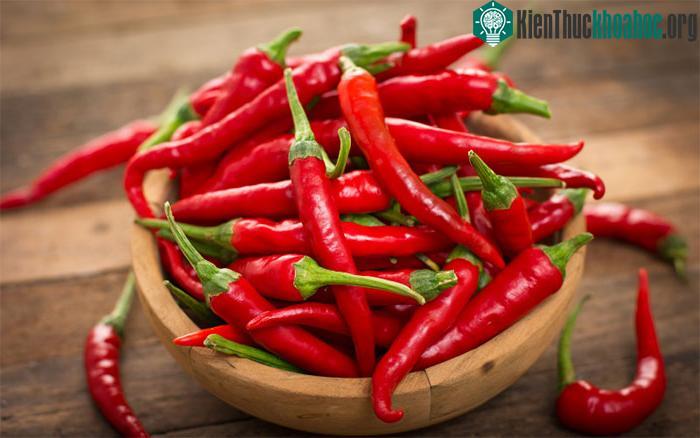 Ớt tươi mua về không nên đặt trực tiếp vào tủ lạnh.