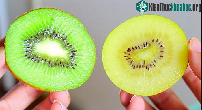 Nếu bạn có tiền sử sỏi thận, hãy tránh xa vỏ kiwi.