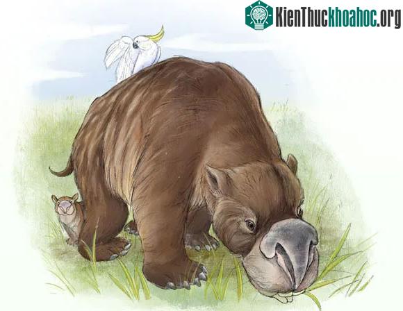 Chân dung quái thú cổ đại khi còn sống và lang thang trên các đồng cỏ nước Úc cổ đại
