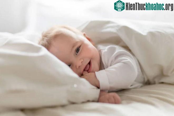 Các nhà khoa học cho rằng việc học tập của não trẻ đã bắt đầu trước cả khi trẻ được sinh ra.