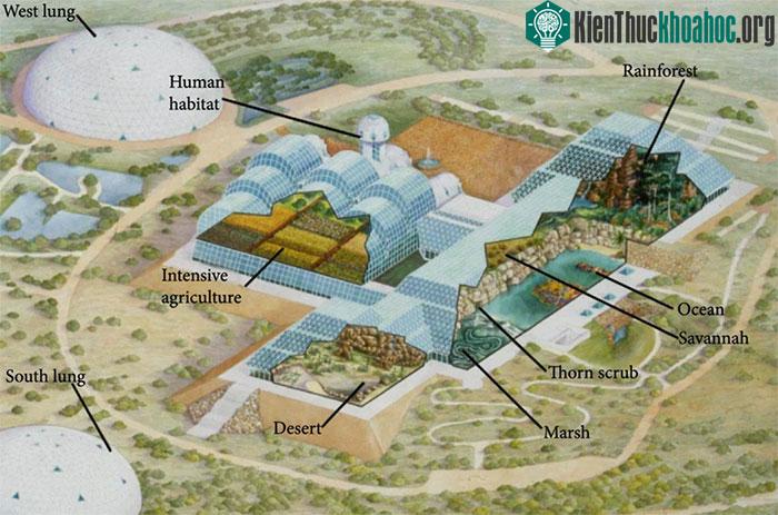Sinh quyển 2 có các quần xã sinh vật đa dạng, khu sinh hoạt, khu nông nghiệp...