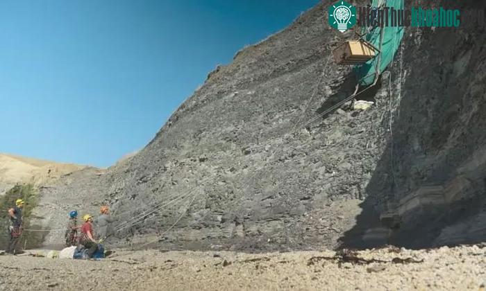 &nbsp;Các nhà sinh vật học đu trên dây để khai quật hóa thạch trên vách đá dựng đứng