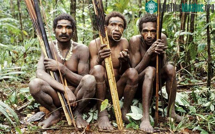 Người Korowai từ lâu đã sống biệt lập, họ thường xây nhà trên ngọn cây cao.
