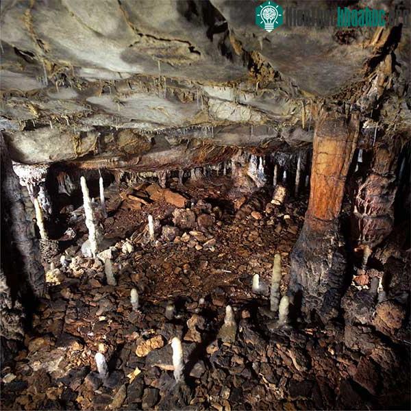 Địa điểm sinh sống của người Magdalenian cổ đại trong hang La Garma.