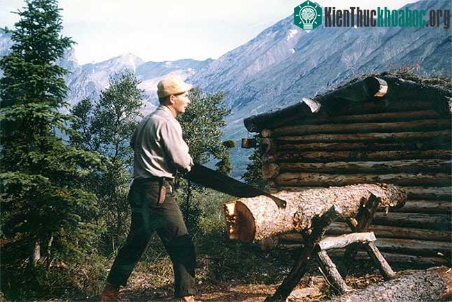 Robinson ngoài đời thực: Một mình sinh sống nơi hoang dã suốt 30 năm trước khi ra đi ở tuổi 83 ảnh 1