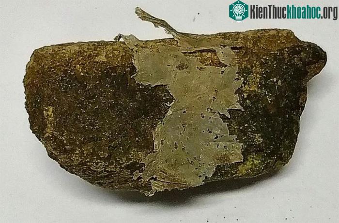 Đá nhựa tìm thấy trong đất liền