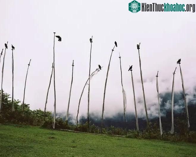 Những lá cờ trắng được treo lên tượng trưng cho linh hồn của người đã khuất tại Gasa