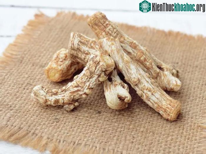 Tại sao đương quy được gọi là "nhân sâm nữ"? ảnh 2