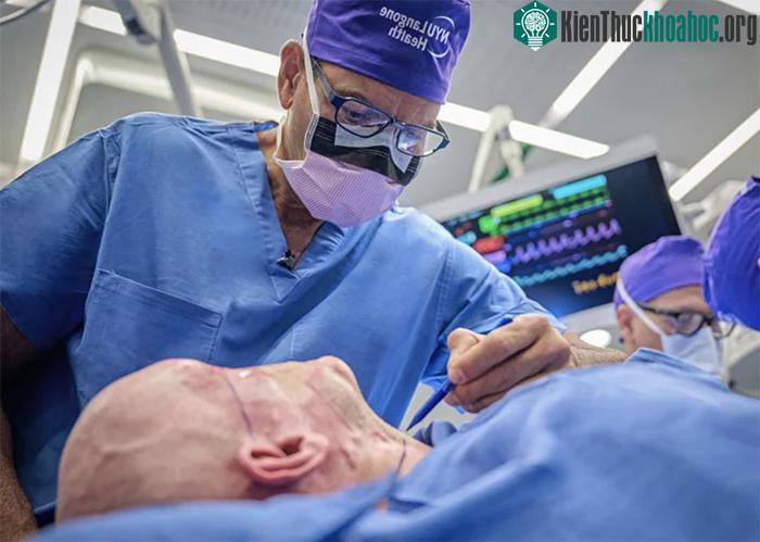 Ca ghép toàn bộ mắt đầu tiên trên thế giới: Bước đột phá gieo hạnh phúc! ảnh 2