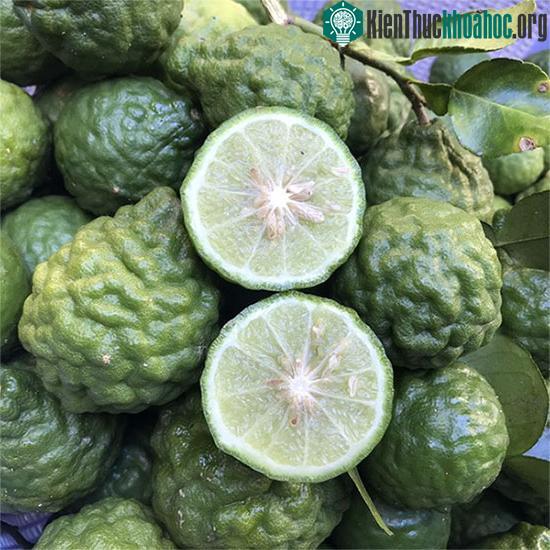 Chúc có thể dùng điều trị cho những người bị thấp khớp, viêm khớp, phù nề