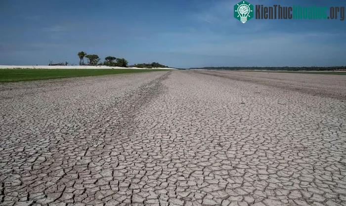 El Nino làm gia tăng tình trạng hạn hán tại khu vực Amazon.